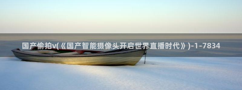 防偷窥隐私保护