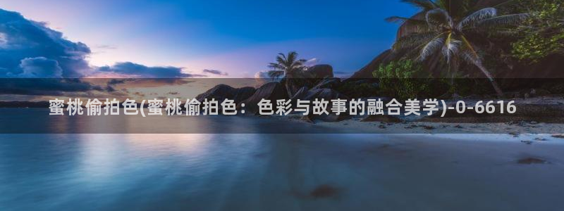 防偷窥隐私保护