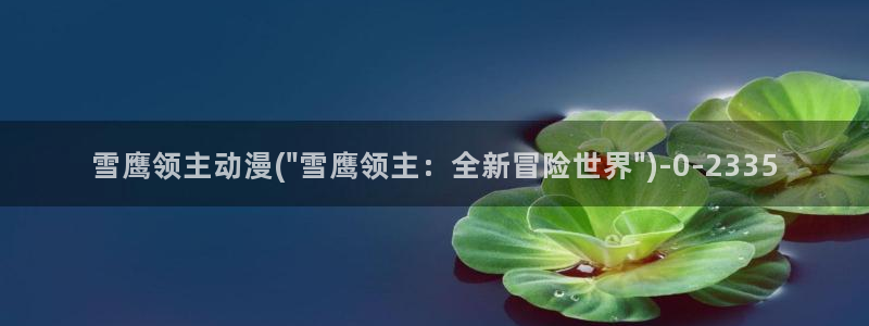 cc动漫