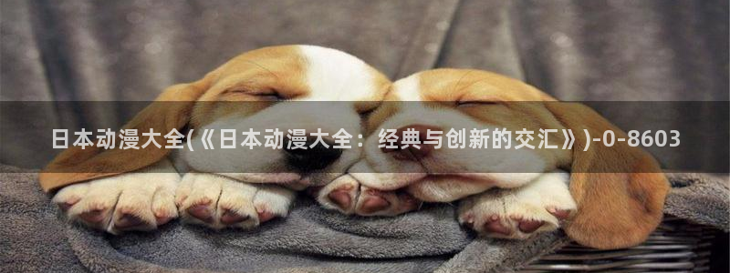 h动漫