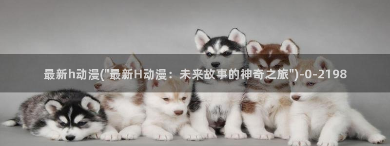 动漫照片